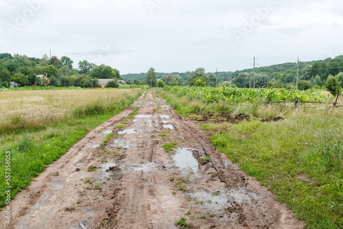 Broken dirt road in the village with lots of muddy puddles after rain. Off-road Road with puddles and mud. Spring country road. A dirt road in the village. Rural landscape with a dirt road