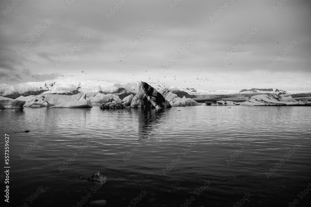 Many icebergs and ice floes in the glacial lagoon jökulsárlón in iceland, which has broken away from the glacier tongue breiðamerkurjökull. With a view of Hvannadalshnúkur in the background.