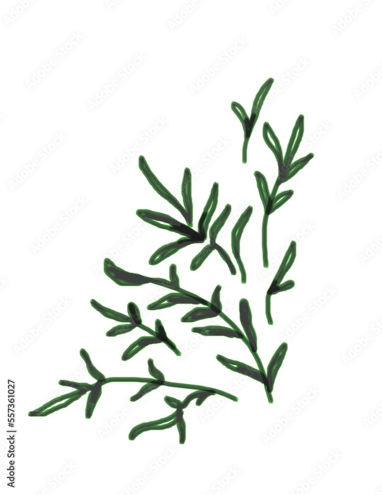 Fototapeta premium Branch of rosemary