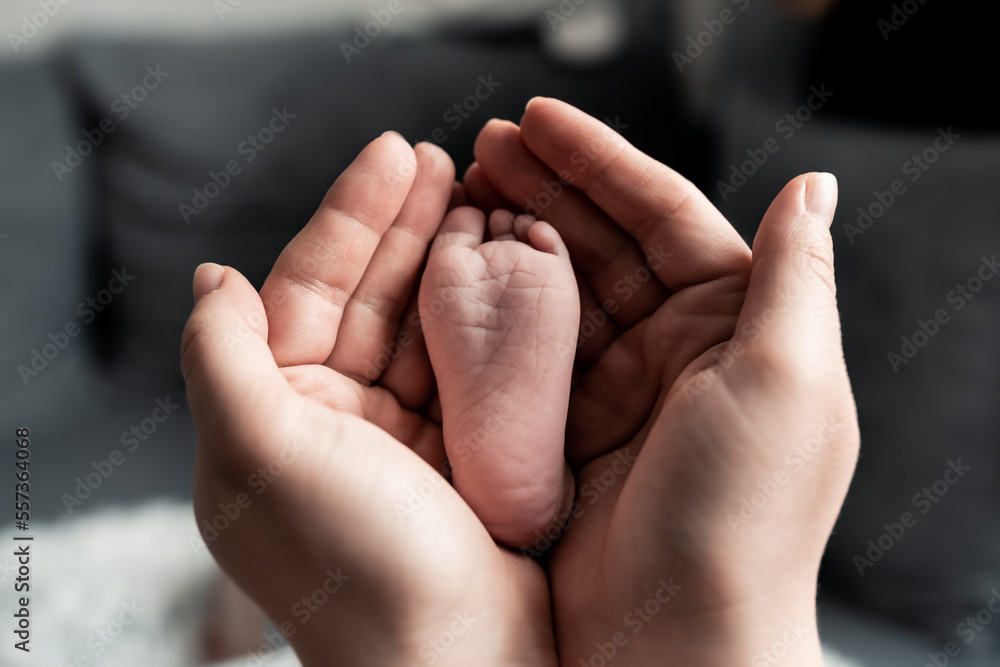 Mother is holding her newborn baby,Family warmth concept with love baby and mom, pro life photo, love between mother and baby, new life, family Mother is holding her newborn baby,Family warmth concept with love baby and mom, pro life photo, love between mother and baby, new life, family