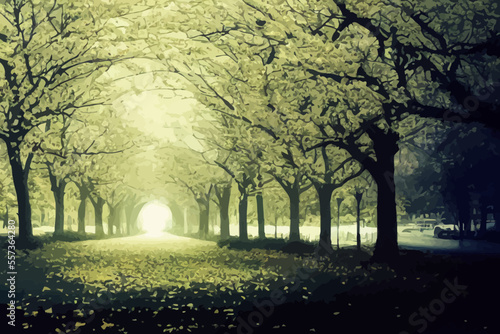 a way to the light end of the tunnel through a blurred trees