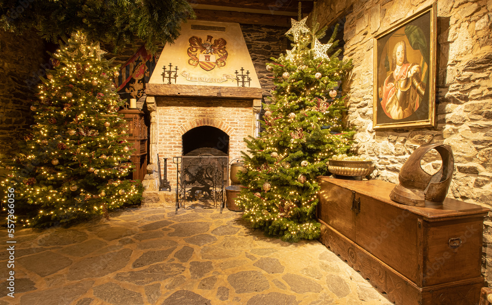 Weihnachten geschmückter Tannenbaum Weihnachtskugeln Kugeln Glaskugeln