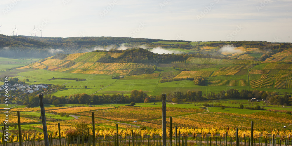 Obraz premium Landscape with fog and wine hills.