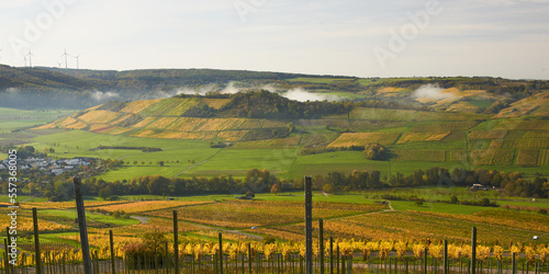 Landscape with fog and wine hills.