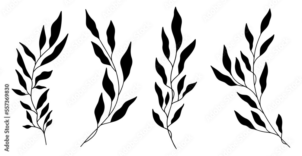 Elegant tree branches silhouette with leaves collection. Branches collection. Hand drawn decorative elements. - Vector illustration Elegant tree branches silhouette with leaves collection. Branches collection. Hand drawn decorative elements. - Vector illustration