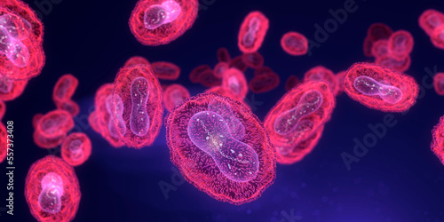 Monkeypox viruses, illustration photo