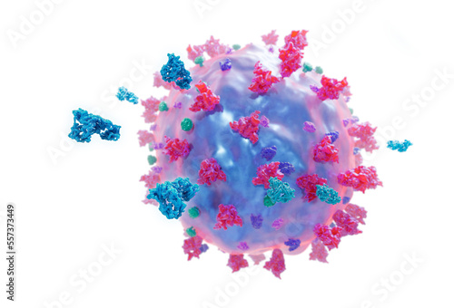 Antibodies attacking coronavirus particle, illustration photo