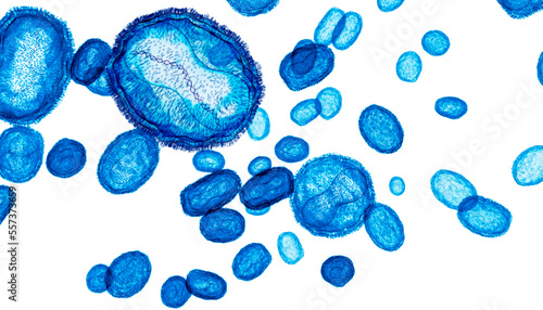 Monkeypox virus particles, illustration photo
