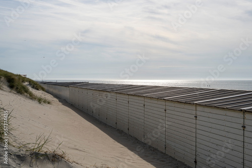 sand dunes on the beach with beachhouses photo