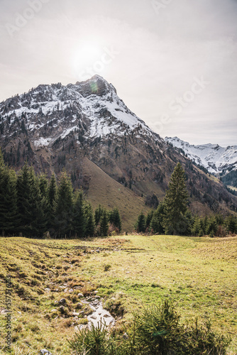 Snow covered mountain and green meadow