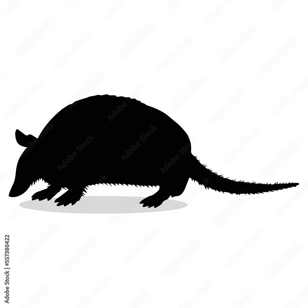 Armadillo Silhouette, cute Armadillo Vector Silhouette, Cute Armadillo