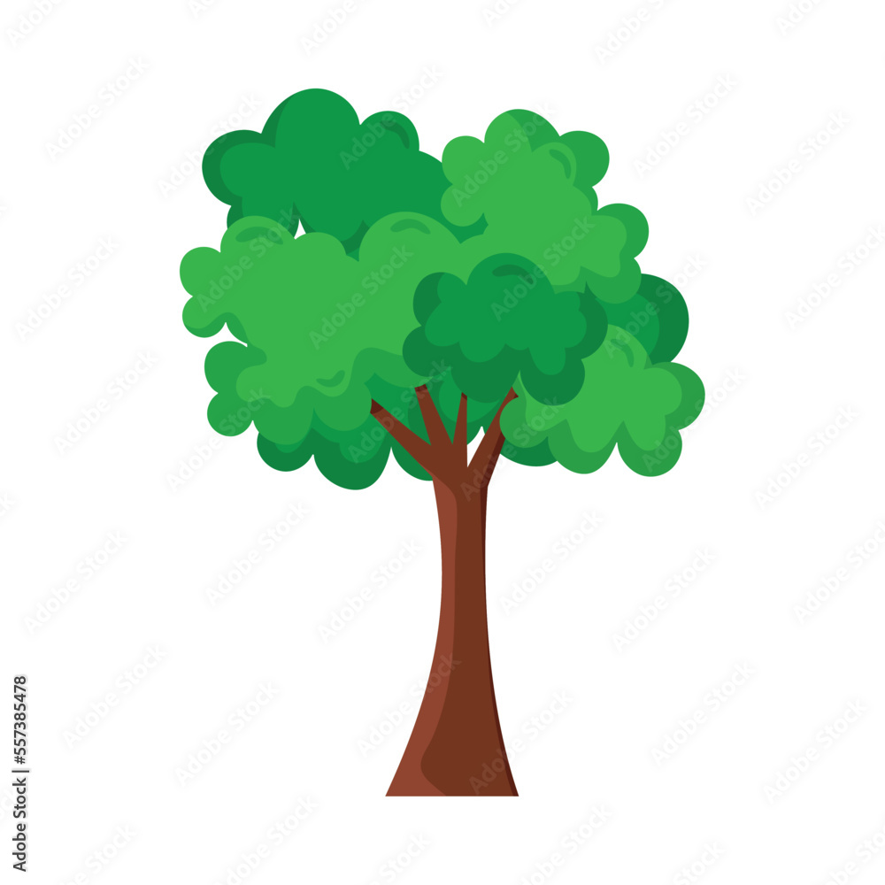 tree plant green tree plant green