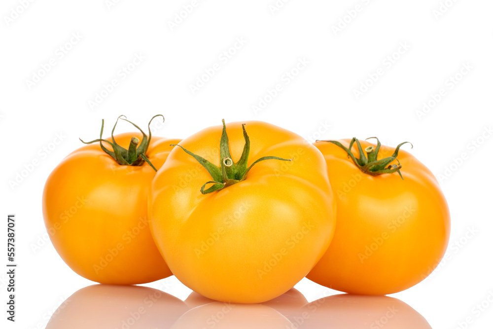 Three organic delicious, juicy tomatoes, on a white background. Three organic delicious, juicy tomatoes, on a white background.