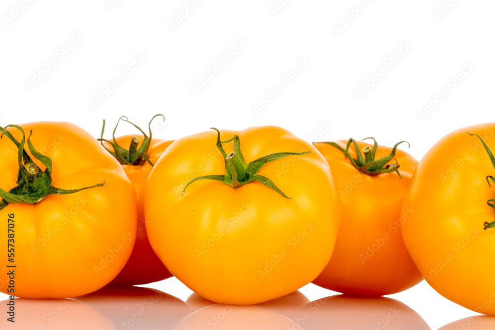 Several fresh organic, ripe yellow tomatoes on a white background. Several fresh organic, ripe yellow tomatoes on a white background.