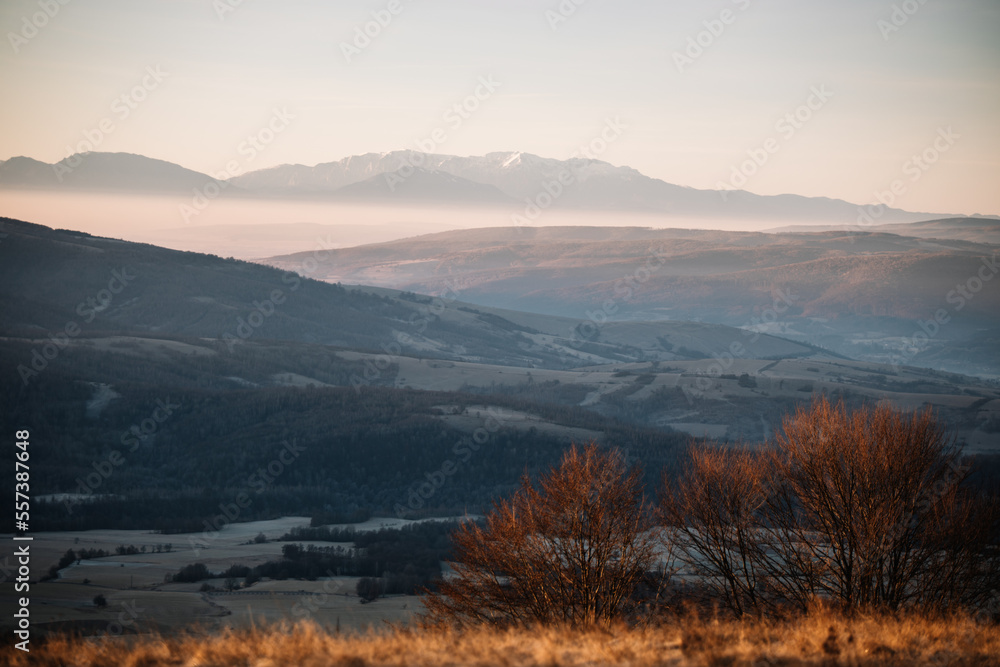 Beautiful landscape in the mountains at sunrise. View of foggy hills covered by forest.