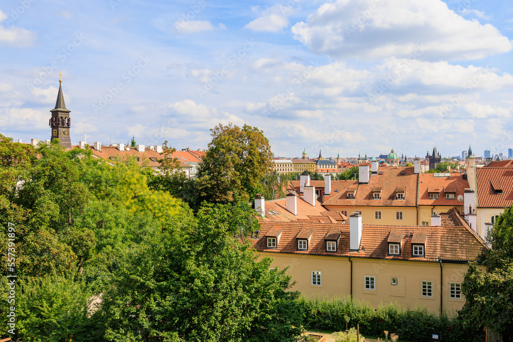 Roofs of houses and a view of the city of Prague. Background with selective focus and copy space