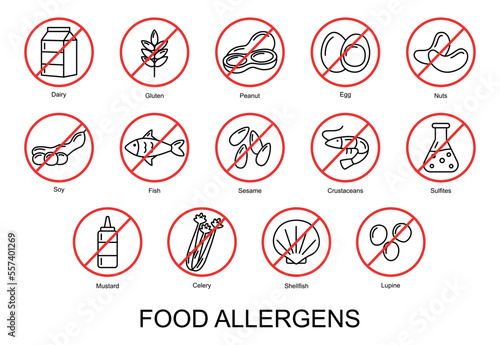 Food allergens. Set of basic allergens icons. Vector illustration