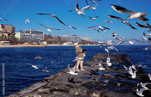 Pretty mature woman feeds seagulls on the pier with the shore lansscape background photo