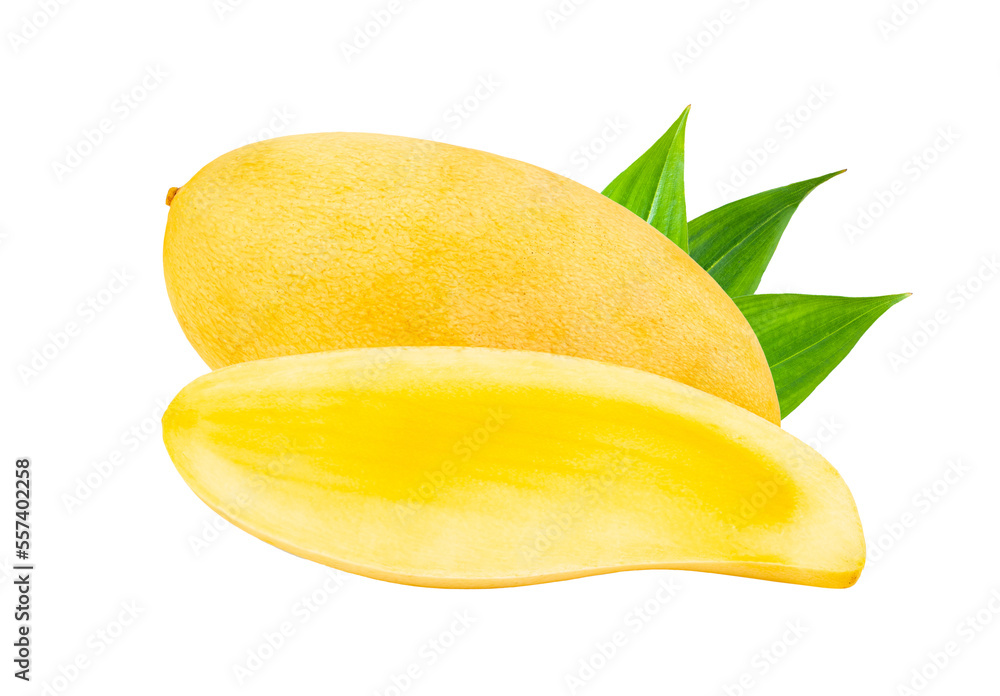 ripe mango isolated on transparent png