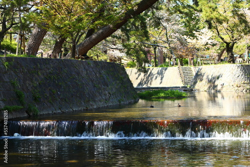 夙川公園
