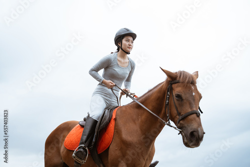 Asian equestrian athlete riding horse holding reins on outdoor background © Odua Images