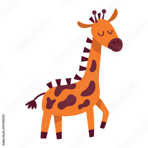 cute giraffe animal