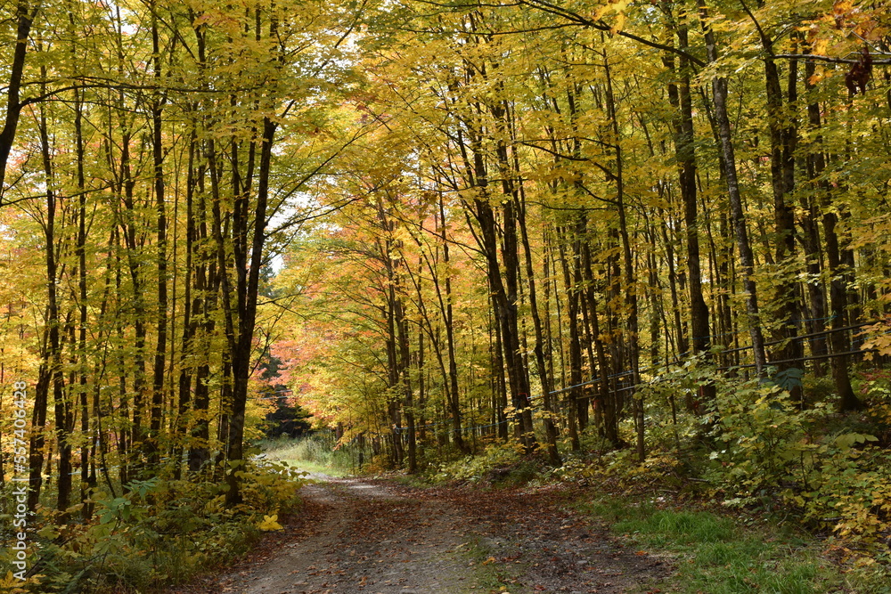 A country road in autumn, Sainte-Apolline, Québec, Canada A country road in autumn, Sainte-Apolline, Québec, Canada