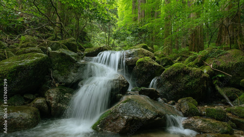 Naklejka premium landscape