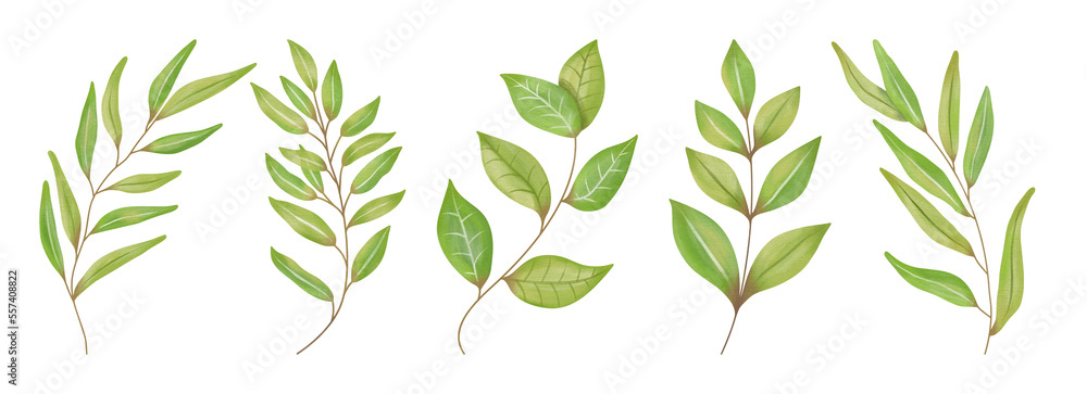 Watercolor Leaves Green, Branch painting leaf art Watercolor Leaves Green, Branch painting leaf art