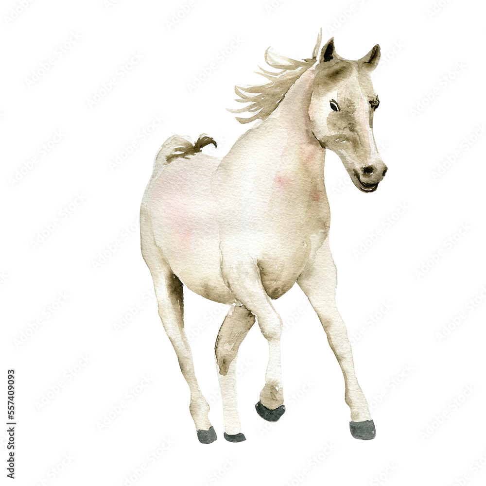 Watercolor hand drawn cute white horse on the white background. Running horse illustration. Watercolor painting of a galloping horse. Perfect for greetings card, poster, invitation and party decor.