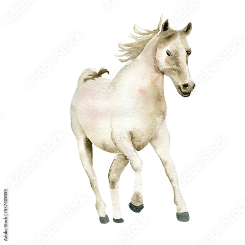 Watercolor hand drawn cute white horse on the white background. Running horse illustration. Watercolor painting of a galloping horse. Perfect for greetings card, poster, invitation and party decor. © Leila