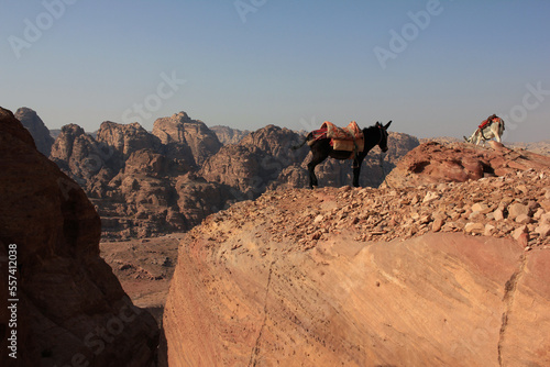 Typical mountain view on the trail with two donkey in the sight, in Petra, Jordan