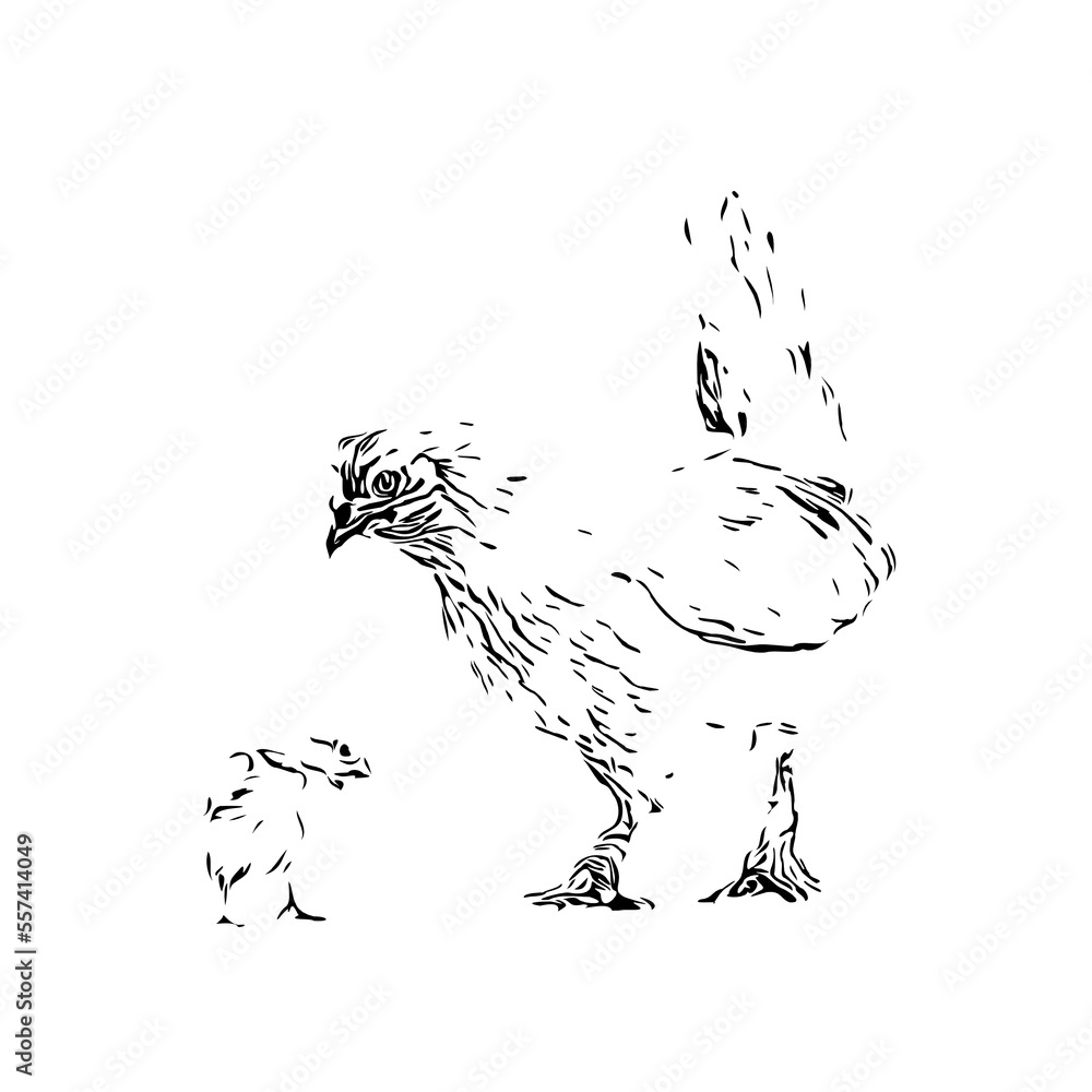 Obraz premium Black and white drawing sketch of a chicken with a transparent background