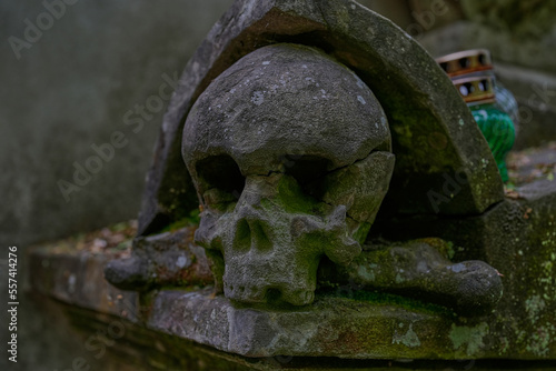 skull on the stone