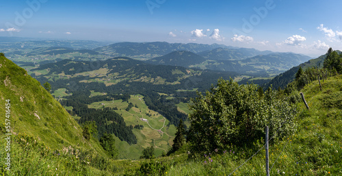 Panorama Alpen in Österreich im Sommer