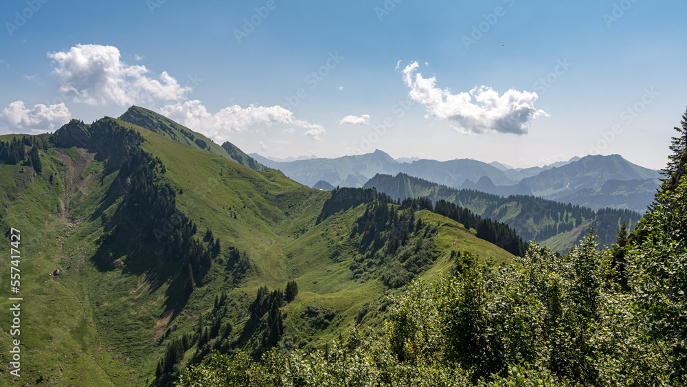 Panorama Alpen in Österreich im Sommer