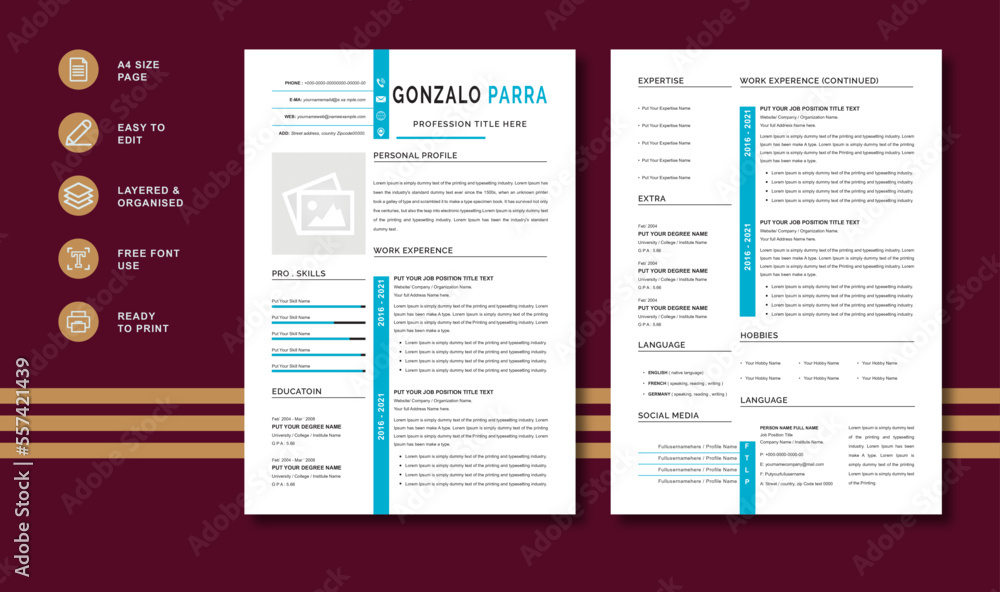 Best New Top professional Resume Cv Template 2023
