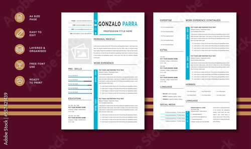 Best New Top professional Resume Cv Template 2023