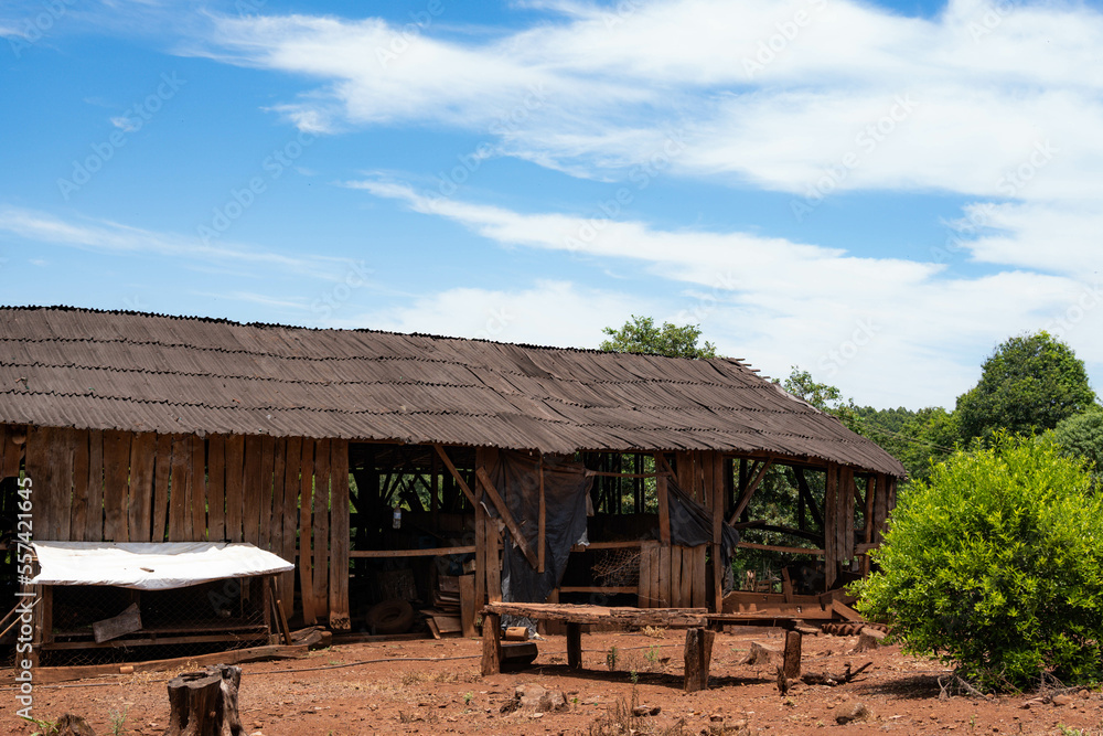 rural life system in Misiones. rural field work in mission colonies. crops of corn, cassava, yerba mate. pasture and cattle production. rural life system in Misiones. rural field work in mission colonies. crops of corn, cassava, yerba mate. pasture and cattle production.