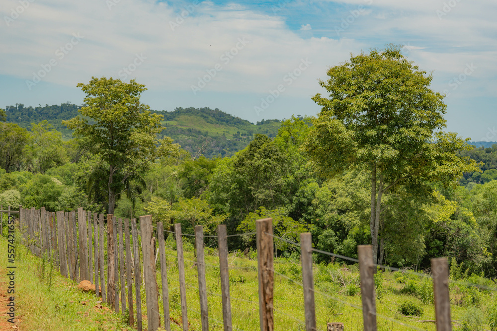 rural life system in Misiones. rural field work in mission colonies. crops of corn, cassava, yerba mate. pasture and cattle production. rural life system in Misiones. rural field work in mission colonies. crops of corn, cassava, yerba mate. pasture and cattle production.
