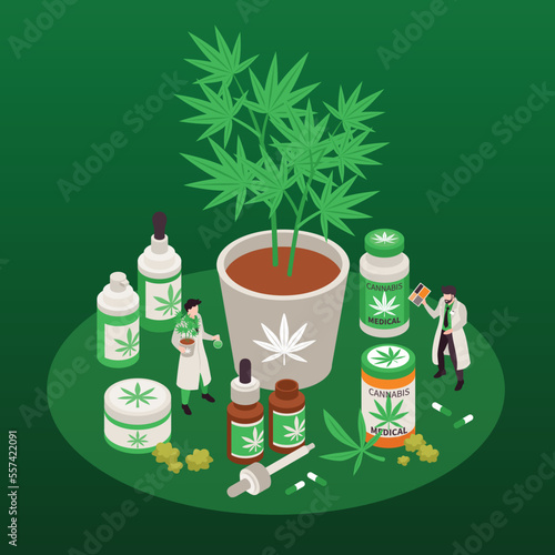 Medical Cannabis Isometric Composition