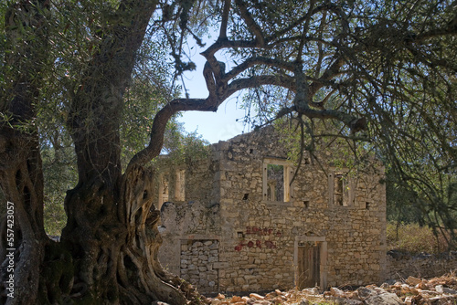 A large, imposing, but ruined and roofless farmhouse near Ozias, Paxos, Greece: a sad sign of rural depopulation photo