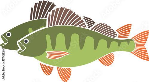 Perch logo. Isolated perch on white background