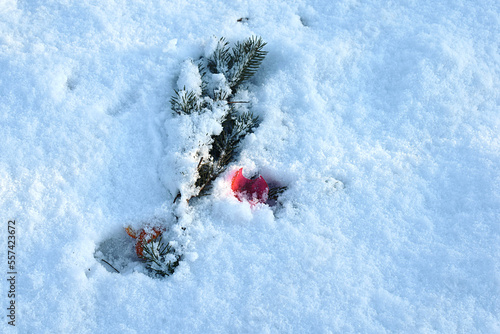 A branch of a Christmas tree, and a broken Christmas tree toy on the street under the snow.