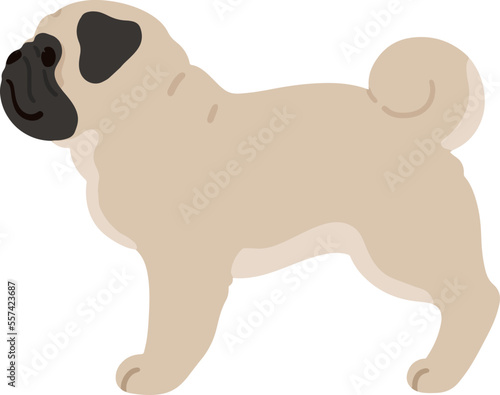 Simple and cute illustration of Pug in side view flat colored