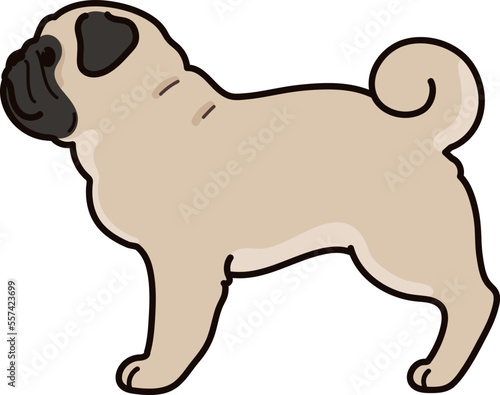 Simple and cute illustration of Pug in side view photo