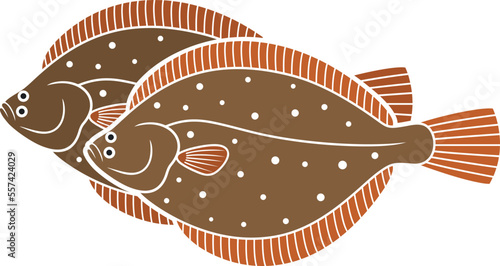 Olive flounder logo. Isolated flounder on white background