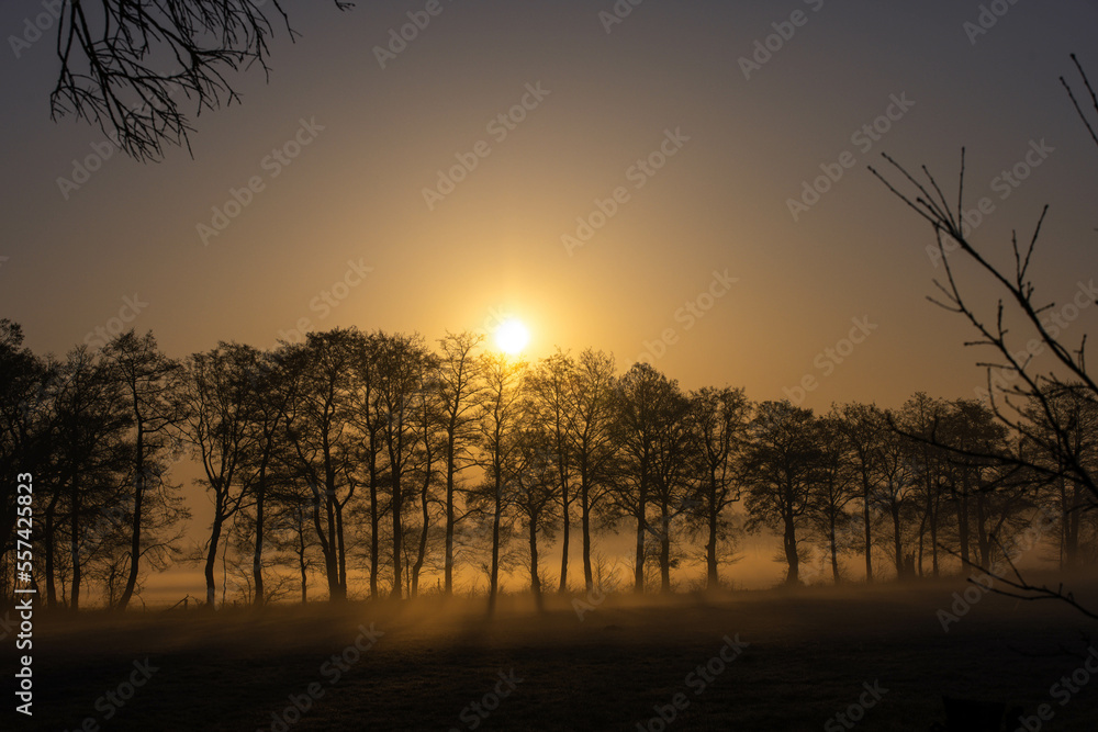 Sonnenaufgang Remels