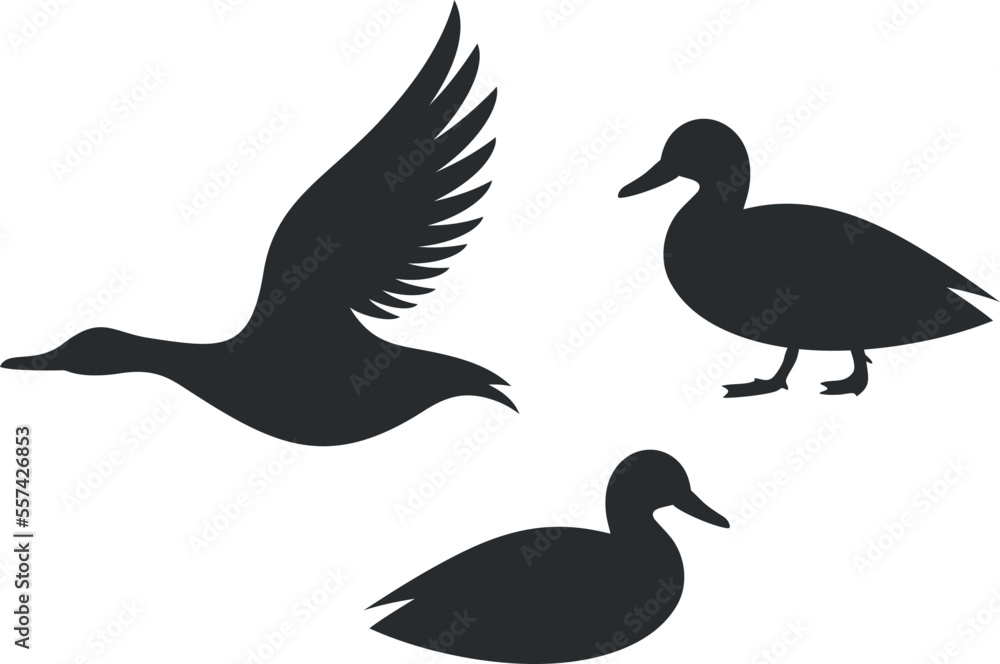 Duck silhouette. Isolated duck on white background. Bird Duck silhouette. Isolated duck on white background. Bird