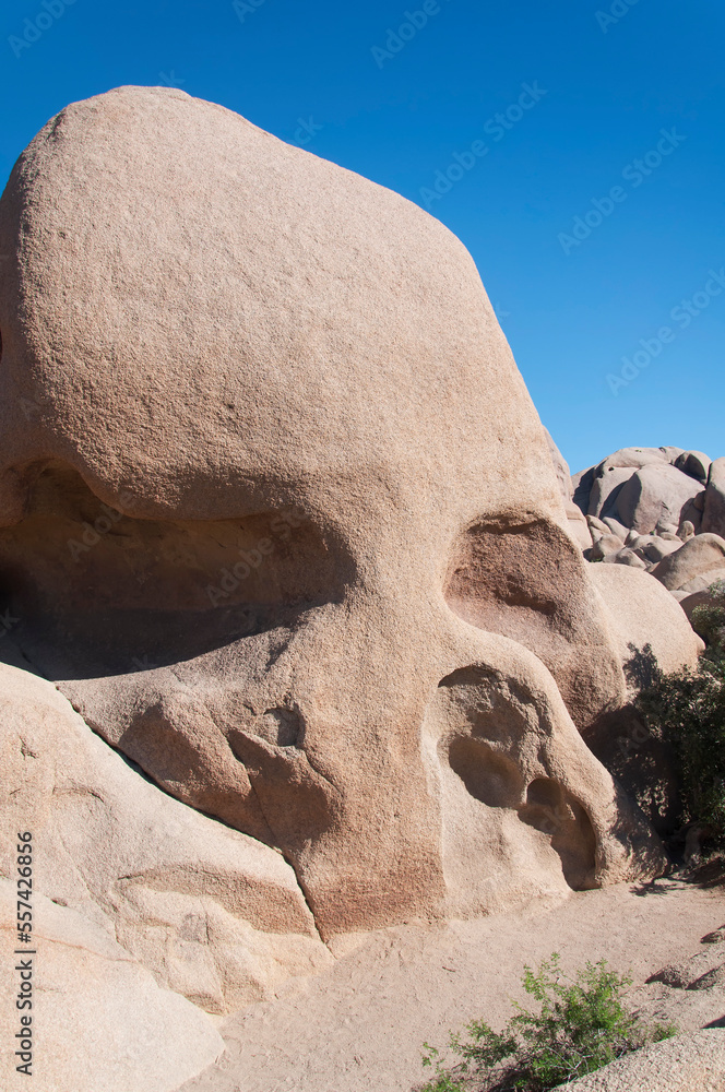 joshua tree national park california skull rock